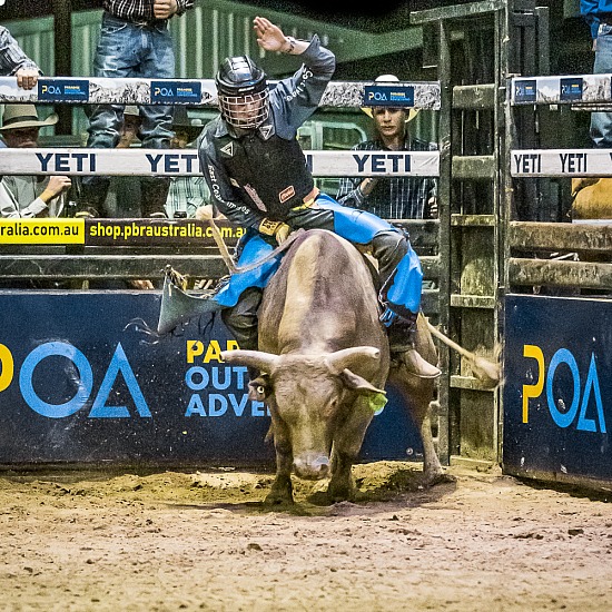 ALL BULL RIDE PHOTOS