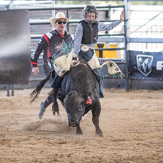 PEE WEES AND JUNIOR BULLS