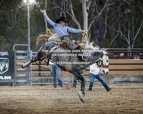 SADDLE BRONC