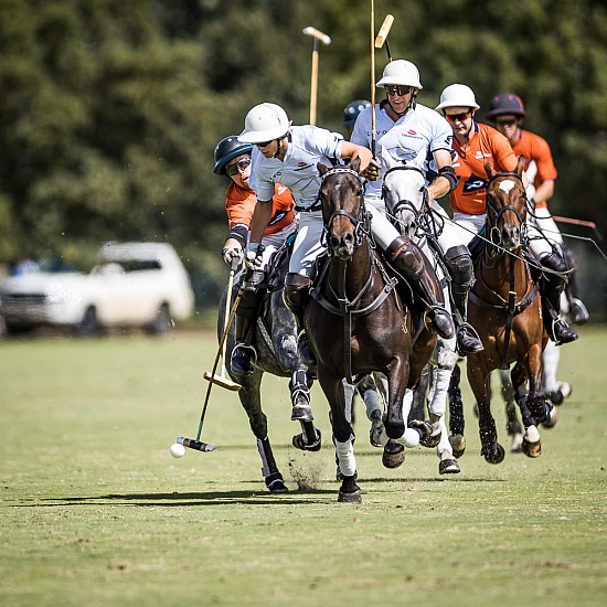 TABLE CLUB Vs PINNACLE POLO