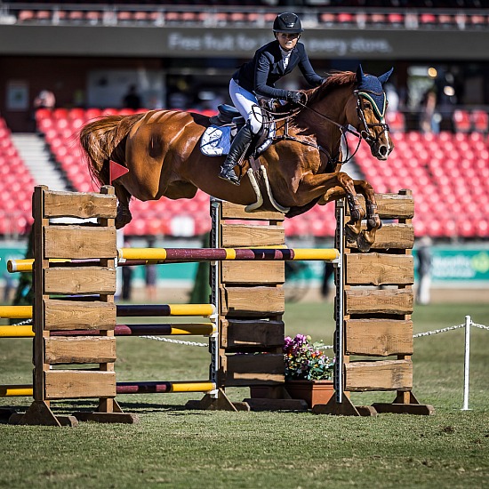 CLASS 913 - YOUNG RIDER GRAND PRIX