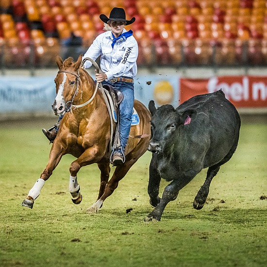 WORLD CHAMPIONSHIP CAMPDRAFT RD 6