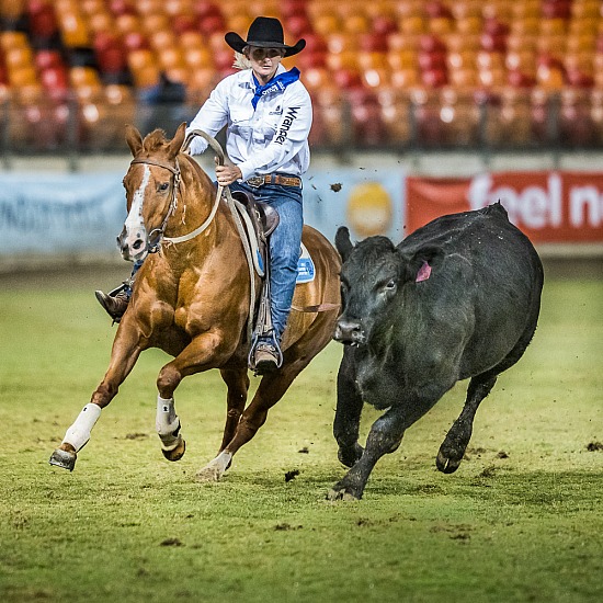 WORLD CHAMPIONSHIP CAMPDRAFT RD 6