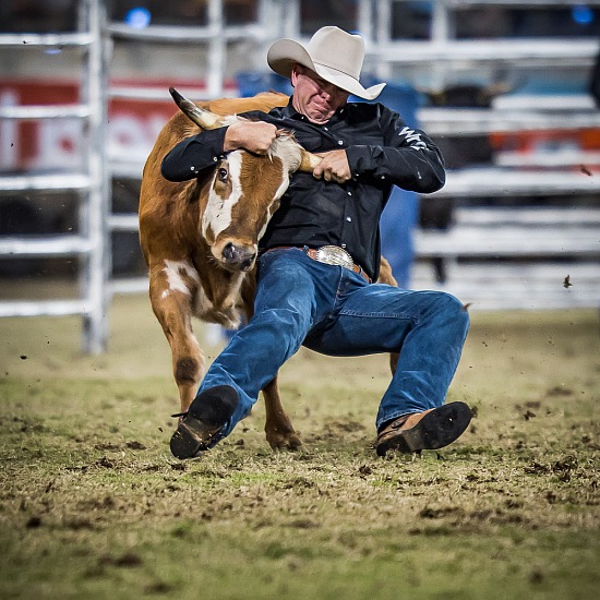 FEDERATION RODEO RD 4