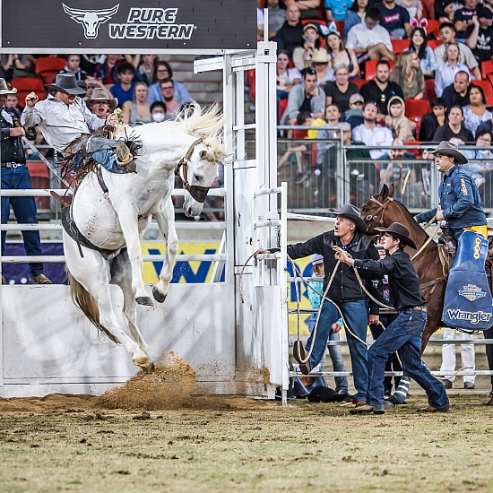 FEDERATION RODEO RD 5