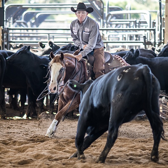 COREY HOLDEN and 'DUCKS ROYALTY'