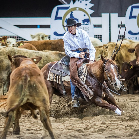 'STEVIE REY VON' SIRED FUTURITY FINALISTS