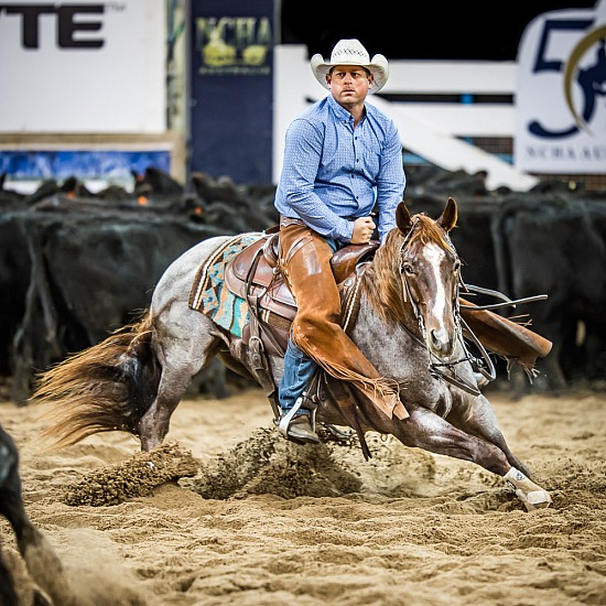 KOOBAH PERFORMANCE HORSES