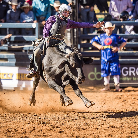 JUNIOR STEER RIDE