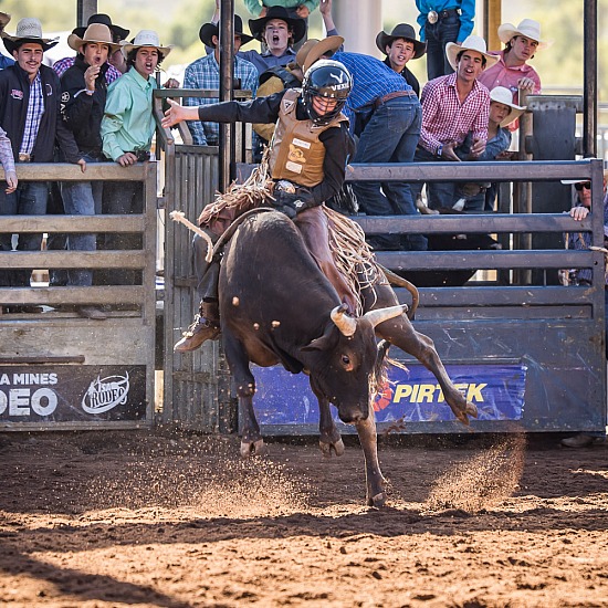 JUNIOR BULL RIDE