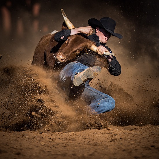 STEER WRESTLING