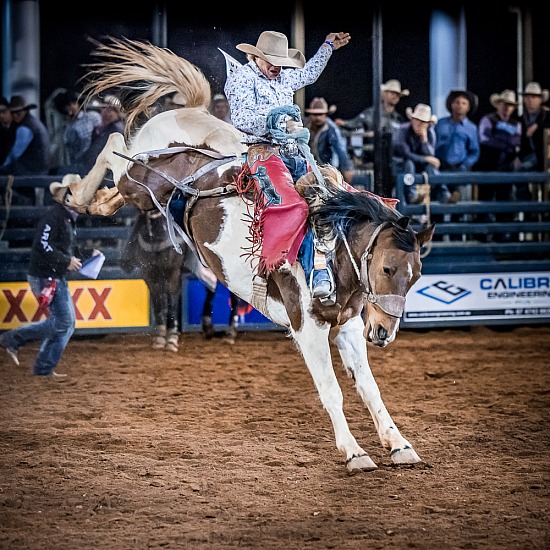 SADDLE BRONC