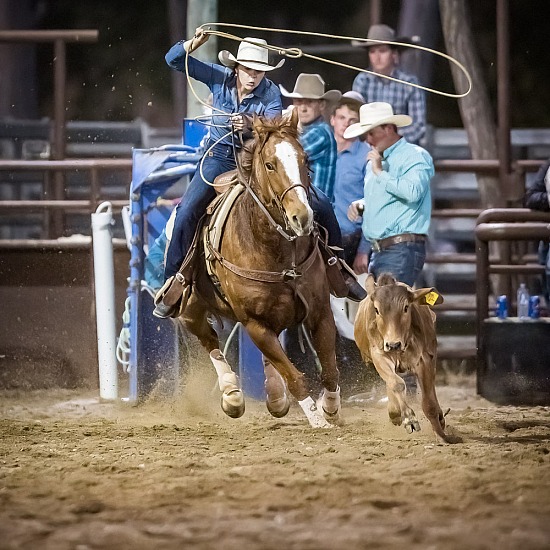 BREAKAWAY ROPING