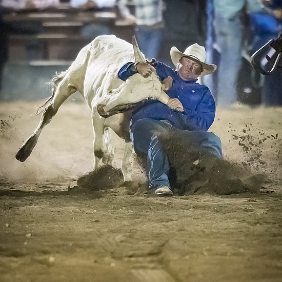 STEER WRESTLING