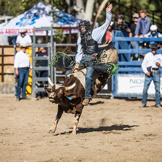 JUNIOR RODEO - ROUGH STOCK 