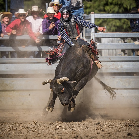 WINCHESTER RODEO 2022