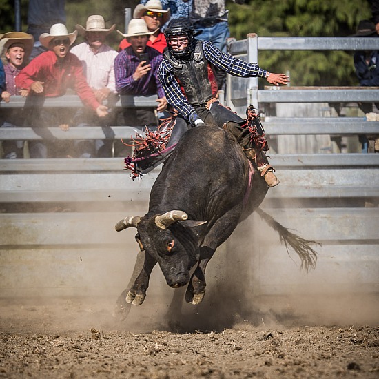 WINCHESTER RODEO 2022