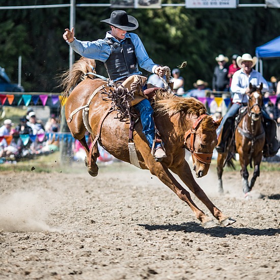 2ND DIVI SADDLE BRONC