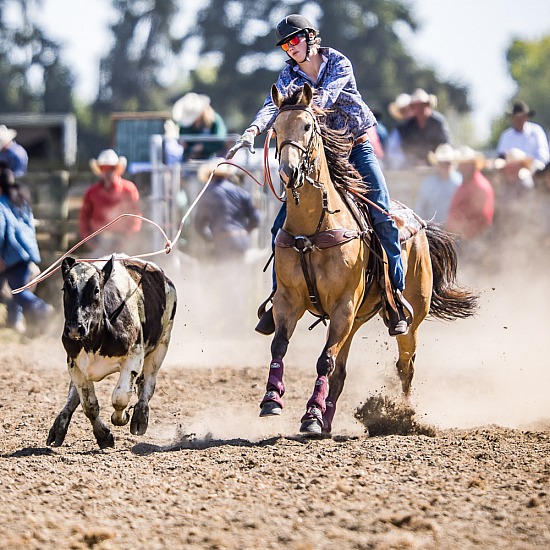 JUNIOR BREAKAWAY ROPING