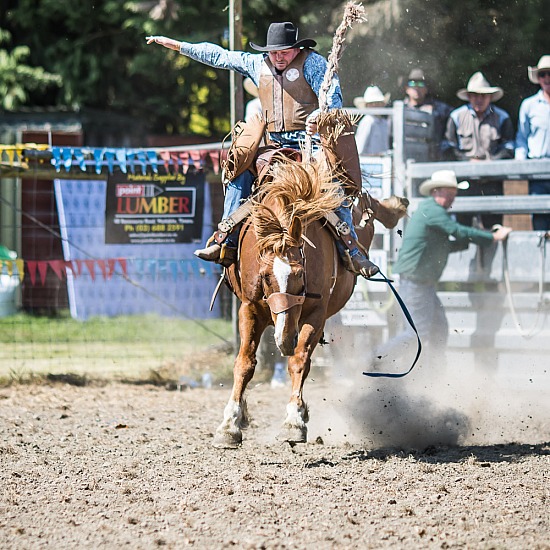 SADDLE BRONC