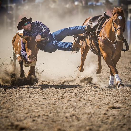 STEER WRESTLING