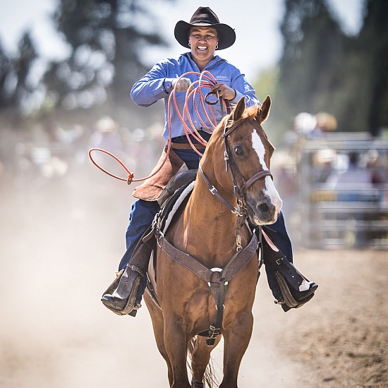 TEAM ROPING