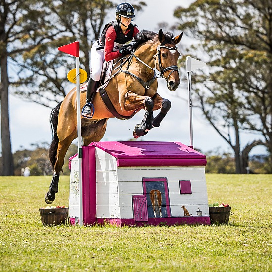 CCI2*-S CROSS COUNTRY