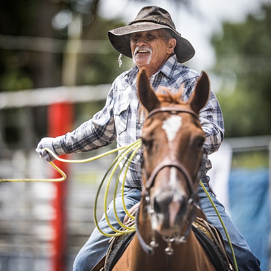 TEAM ROPING