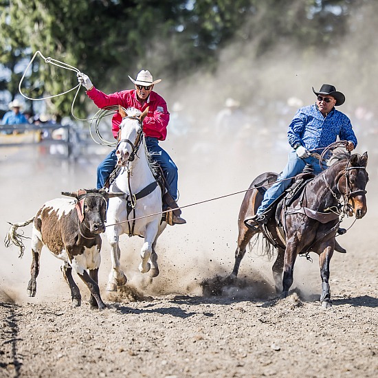 TEAM ROPING