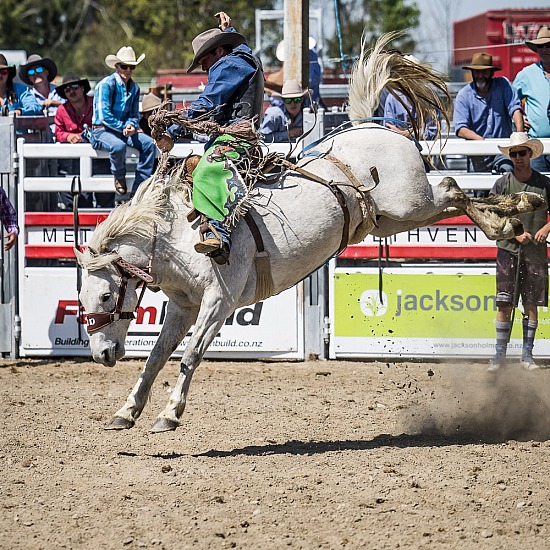 SADDLE BRONC