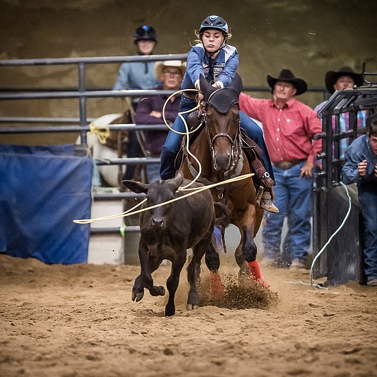 JUNIOR BREAKAWAY ROPING