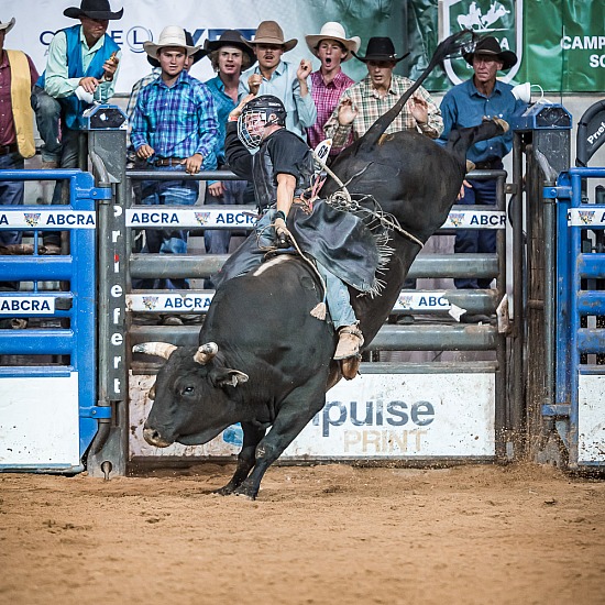 BULL RIDE