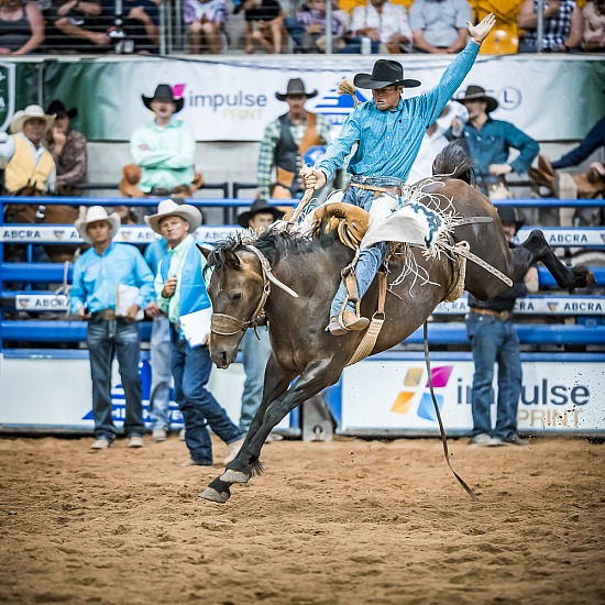 SADDLE BRONC