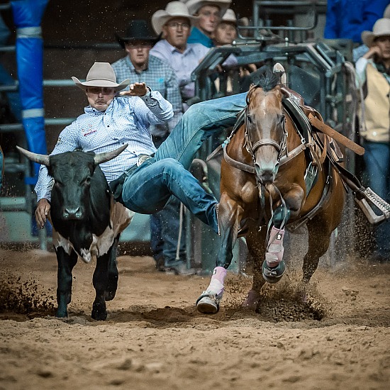 STEER WRESTLING