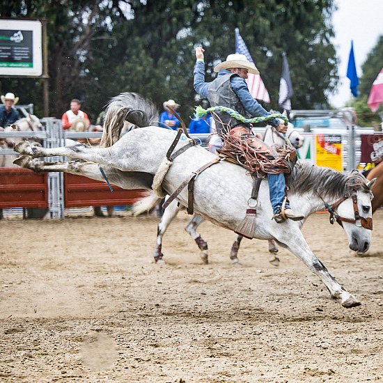 NZRCA NATIONAL FINALS RODEO 2022-23