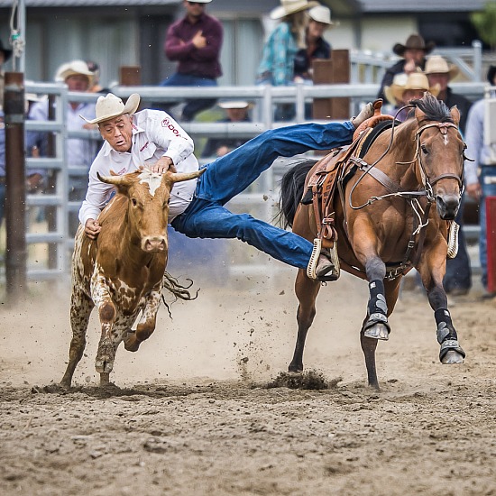 STEER WRESTLING