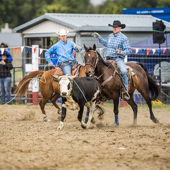 TEAM ROPING