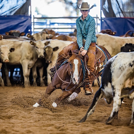 ARMIDALE CUTTING FOR CASH 2023