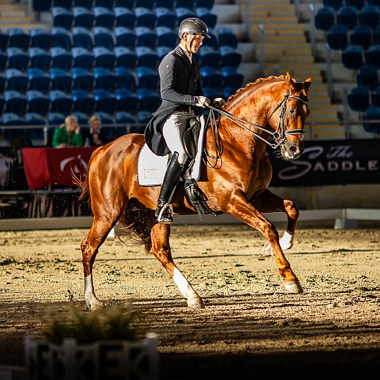 Matthew Lord and 'REMI VIGNERON'