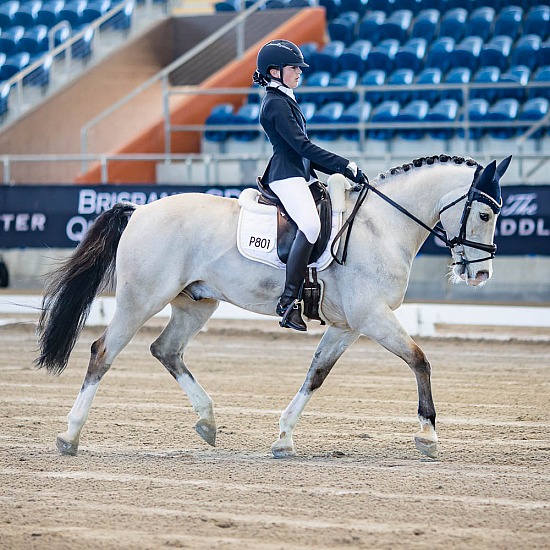 Marley Yates and 'MR BUCK MEISTER'