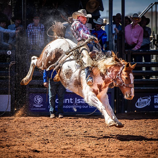 SADDLE BRONC