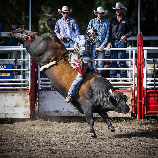 WAIMATE RODEO 2023