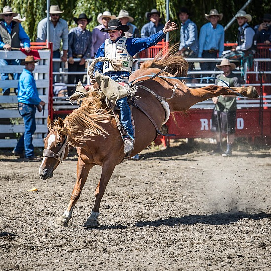 SADDLE BRONC