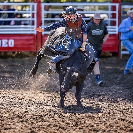 NOVICE STEER RIDE