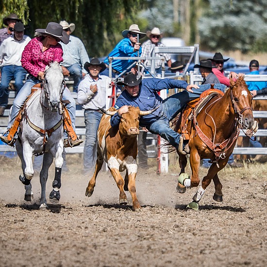 STEER WRESTLING