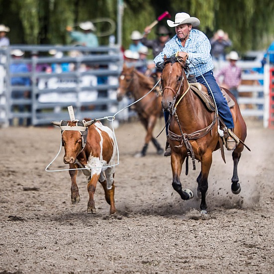 TEAM ROPING