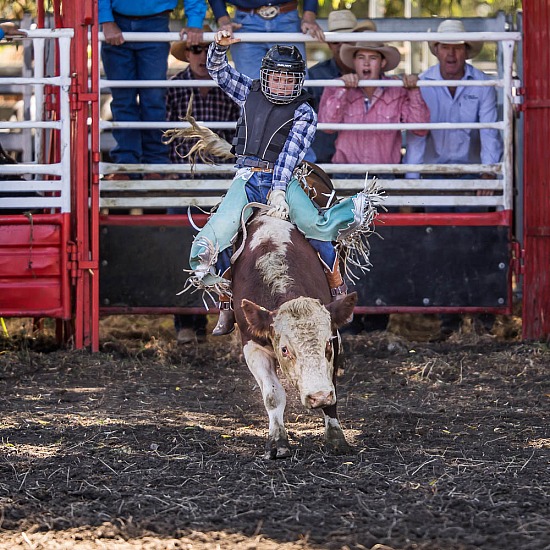 JUNIOR STEER RIDE