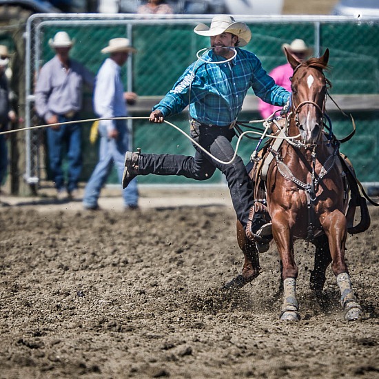 MANIOTOTO RODEO