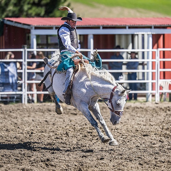 2ND DIVISION SADDLE BRONC