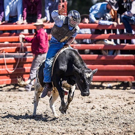 2ND DIVISION BULL RIDE